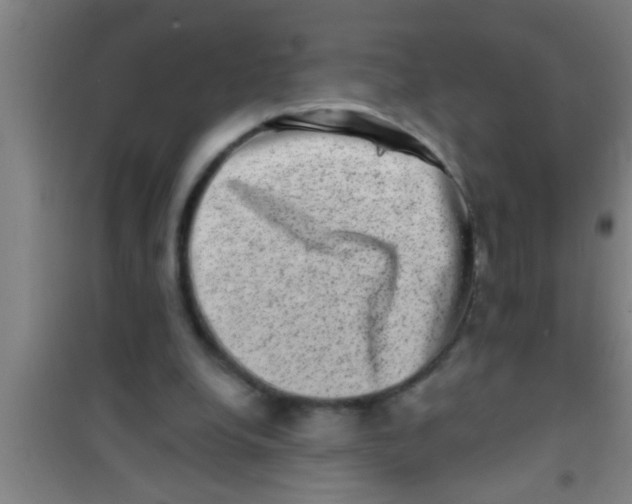 X0000100390248200807031956