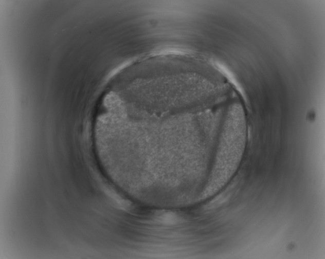 X0000100390249200807031956