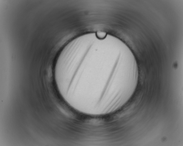 X0000100390251200807031956