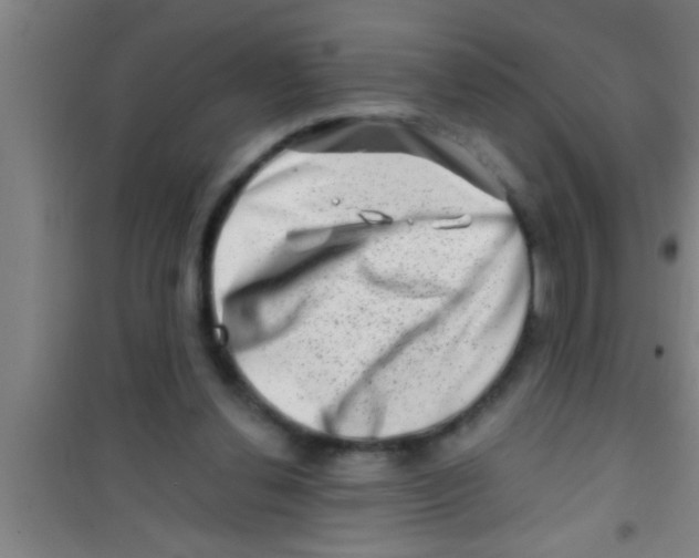 X0000100390252200807031956