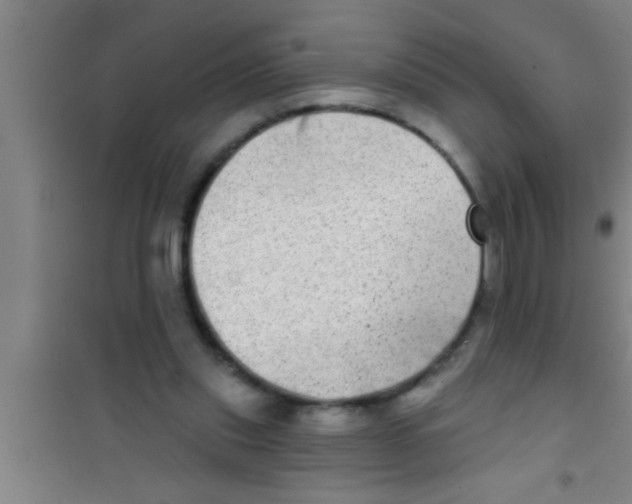 X0000100390253200807031956