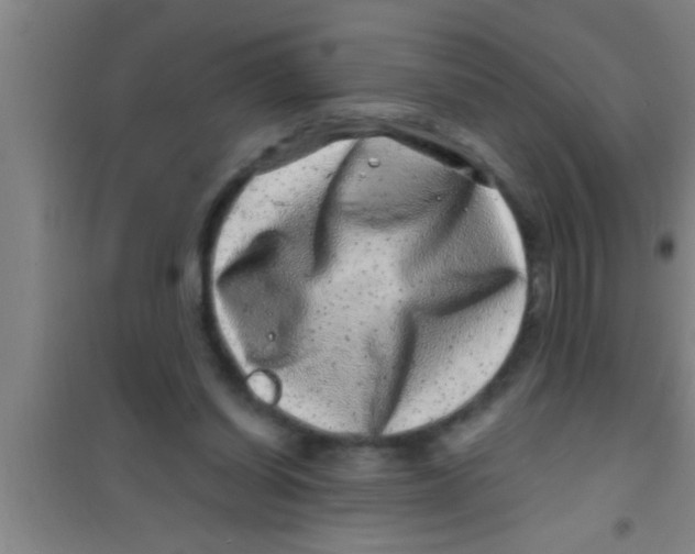 X0000100390254200807031956