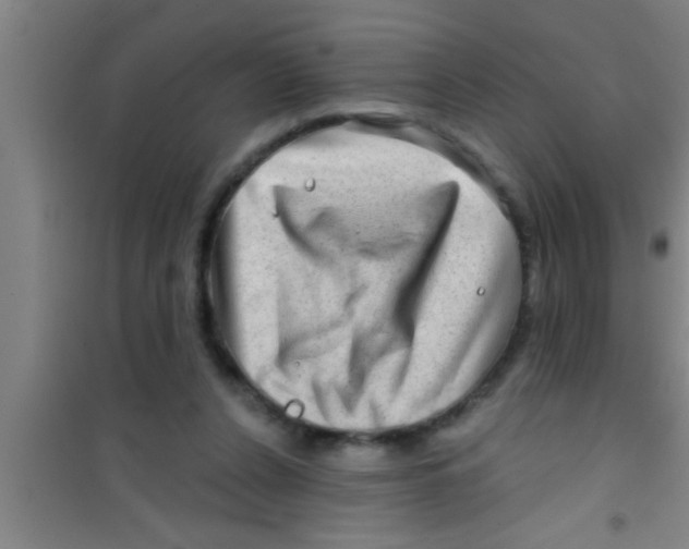 X0000100390256200807031956