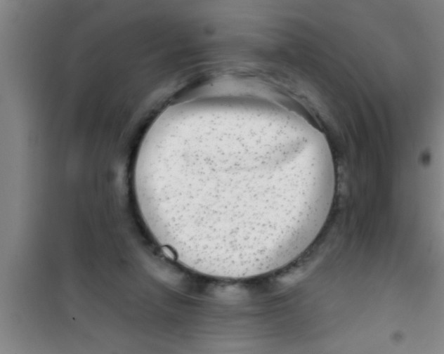 X0000100390258200807031956