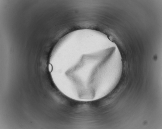 X0000100390259200807031956