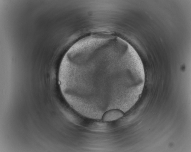 X0000100390260200807031956