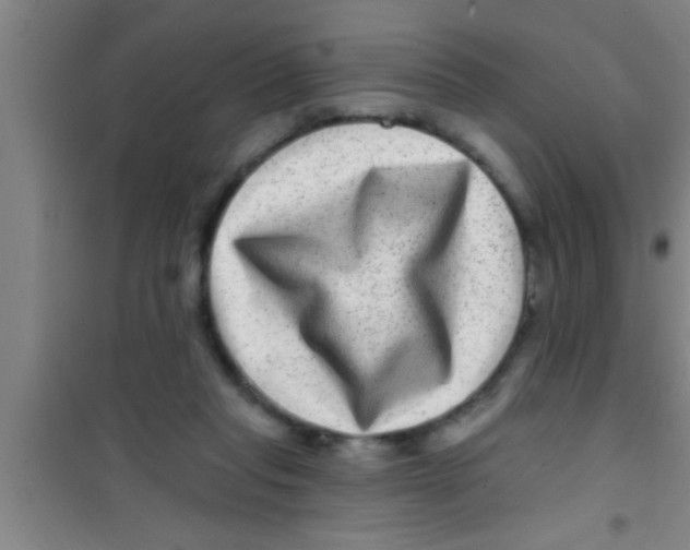 X0000100390261200807031956