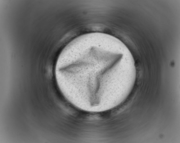 X0000100390262200807031956