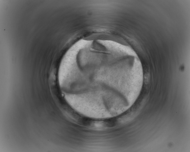 X0000100390264200807031956