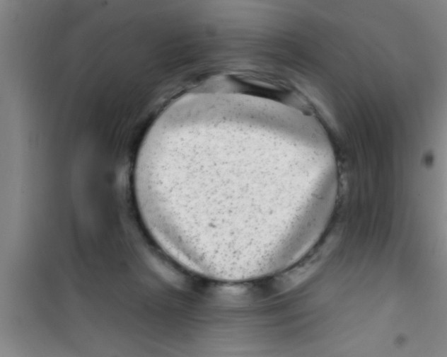 X0000100390265200807031956