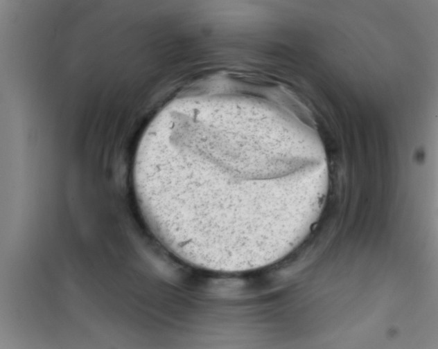 X0000100390266200807031956