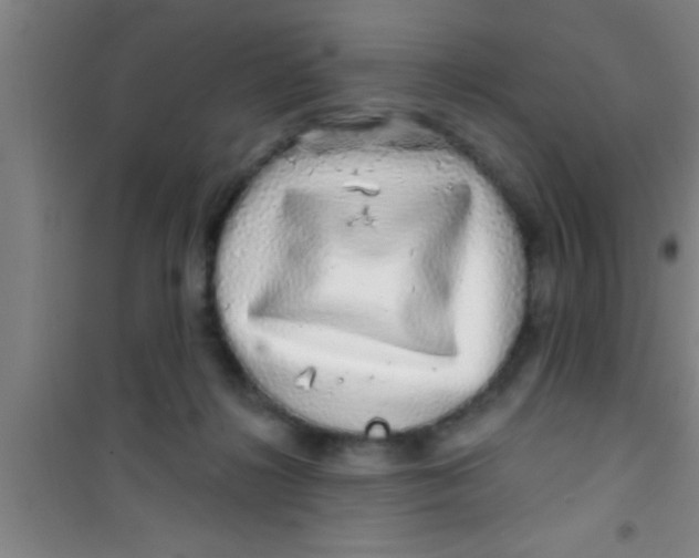 X0000100390268200807031956