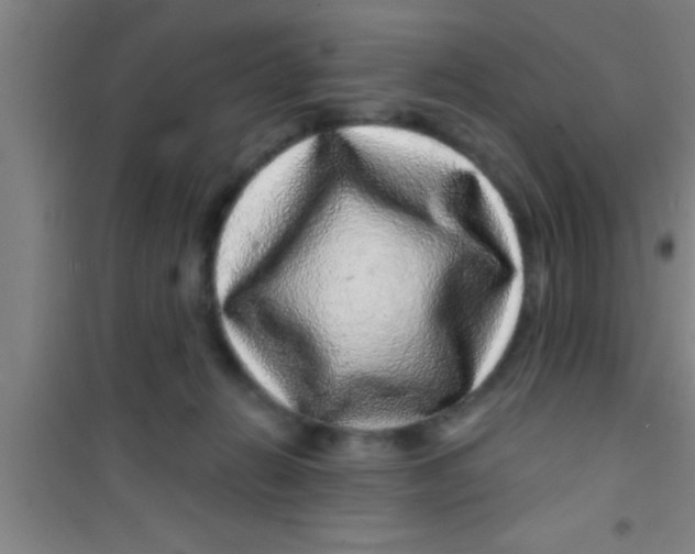 X0000100390270200807031956