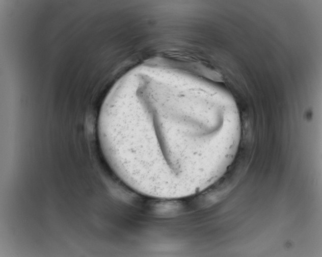 X0000100390274200807031956