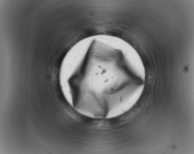 X0000100390275200807031956