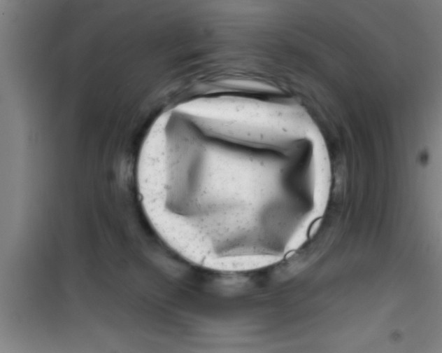 X0000100390278200807031956