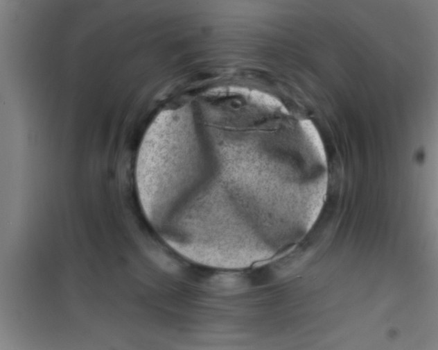 X0000100390280200807031956