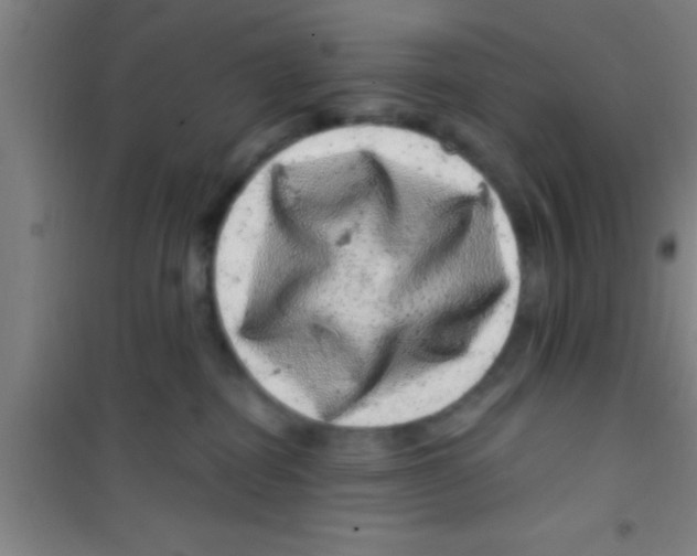 X0000100390282200807031956