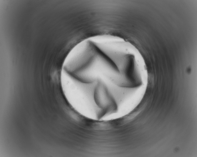 X0000100390286200807031956