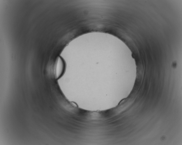 X0000100390287200807031956