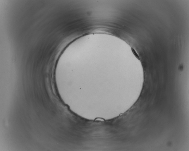 X0000100390289200807031956