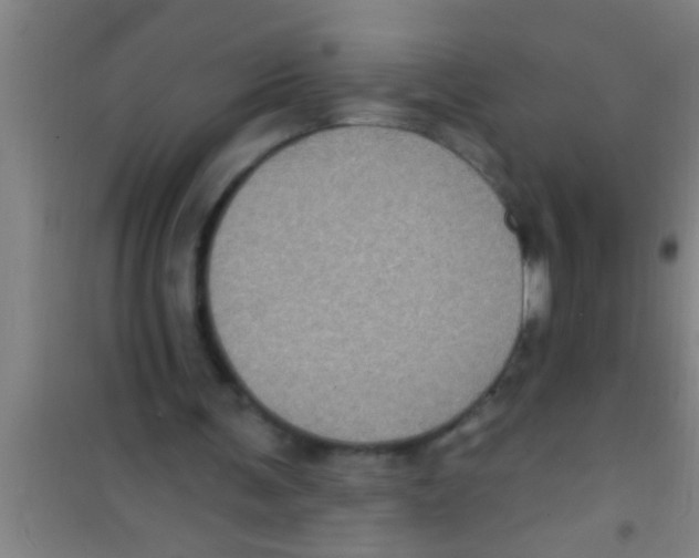 X0000100390291200807031956