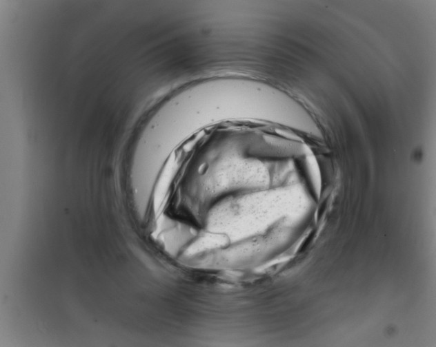 X0000100390302200807031956