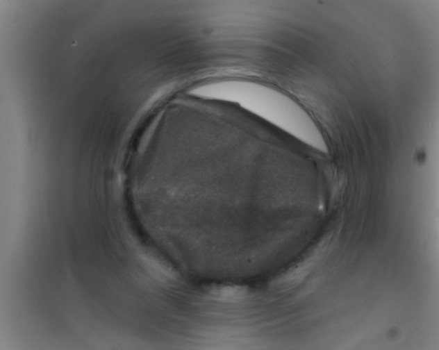 X0000100390304200807031955