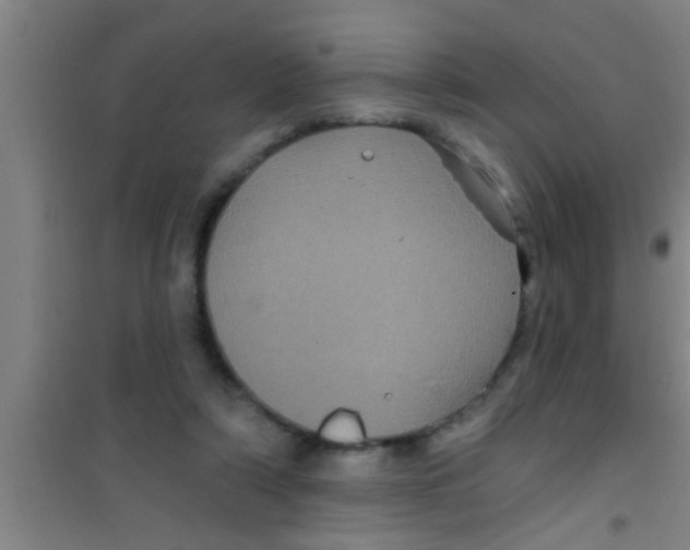 X0000100390306200807031955