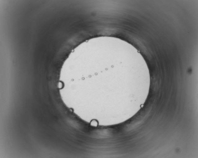 X0000100390307200807031955