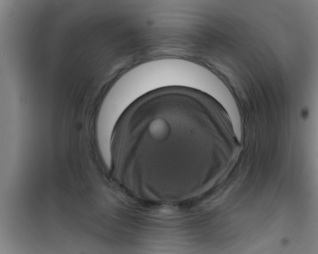 X0000100390308200807031955