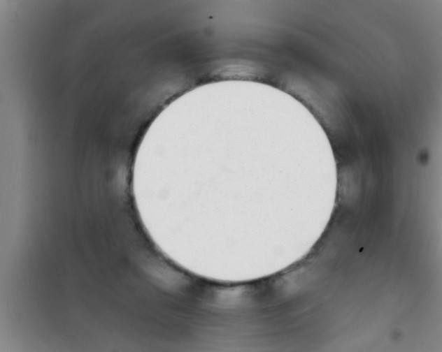 X0000100390309200807031955