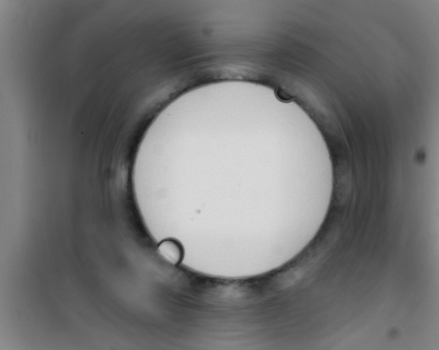 X0000100390310200807031955