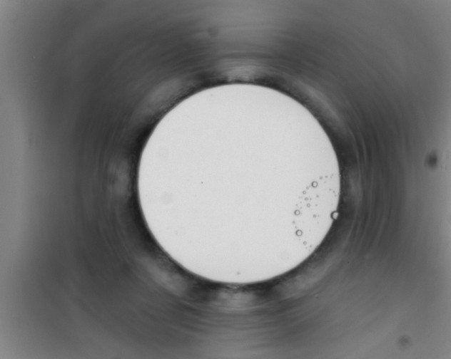 X0000100390311200807031955