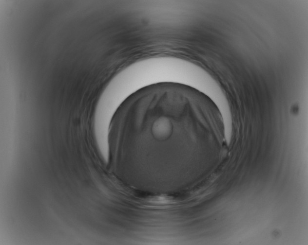 X0000100390316200807031955