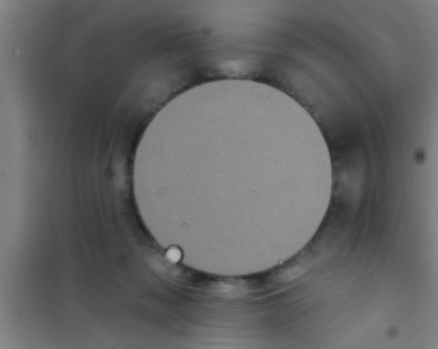 X0000100390317200807031955