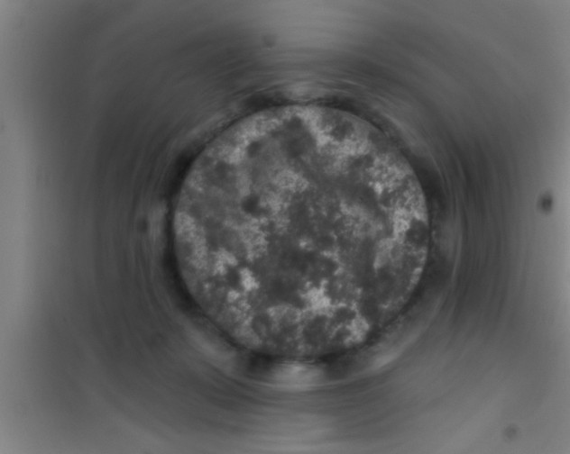 X0000100390319200807031955