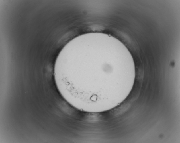 X0000100390321200807031955