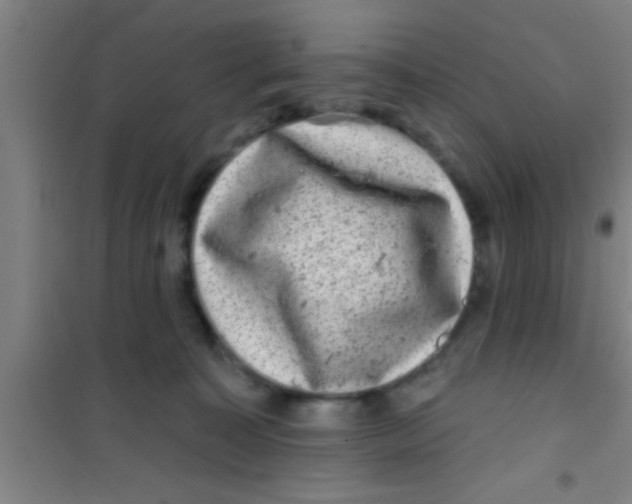 X0000100390323200807031955