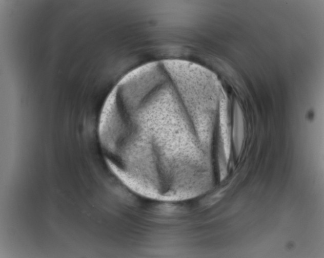 X0000100390326200807031955