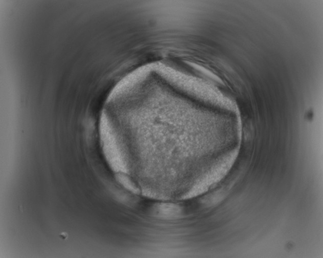 X0000100390327200807031955