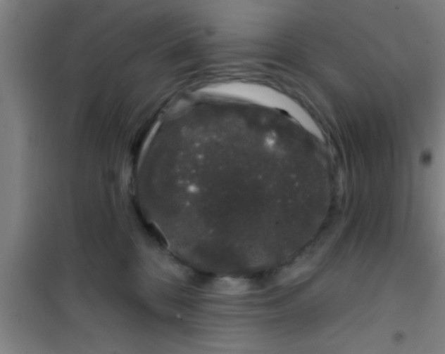 X0000100390328200807031955