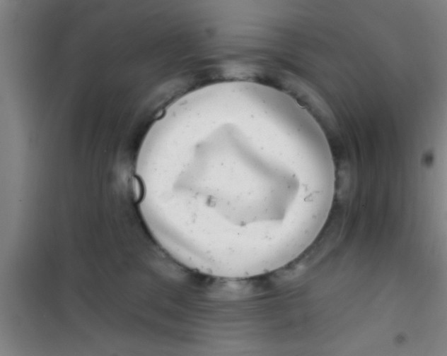 X0000100390329200807031955