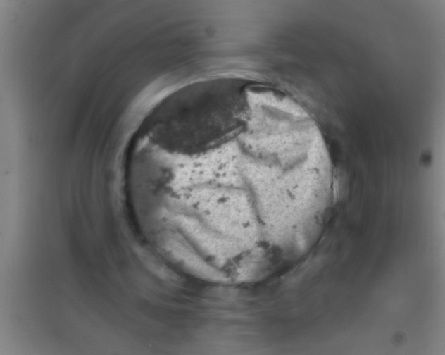 X0000100390339200807031954