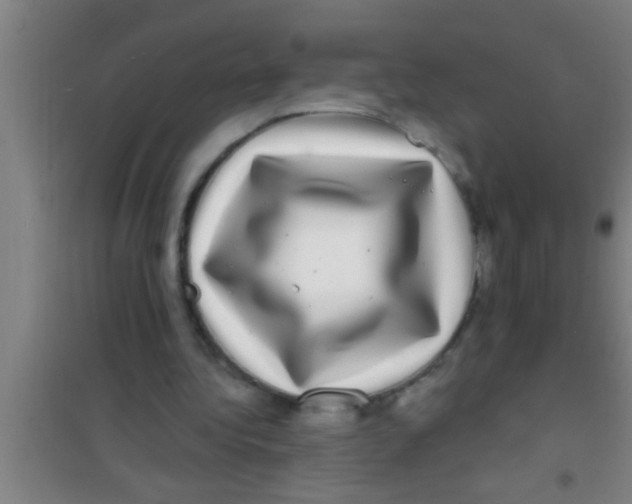 X0000100390340200807031954