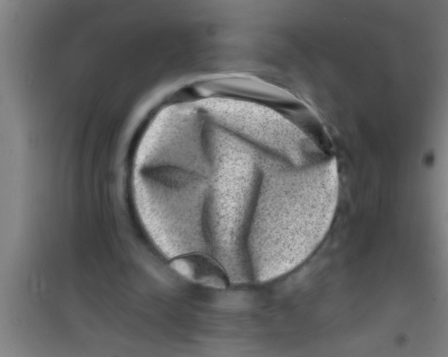 X0000100390342200807031954