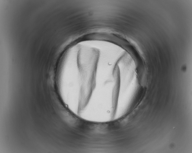 X0000100390345200807031954