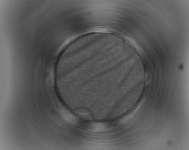 X0000100390349200807031955