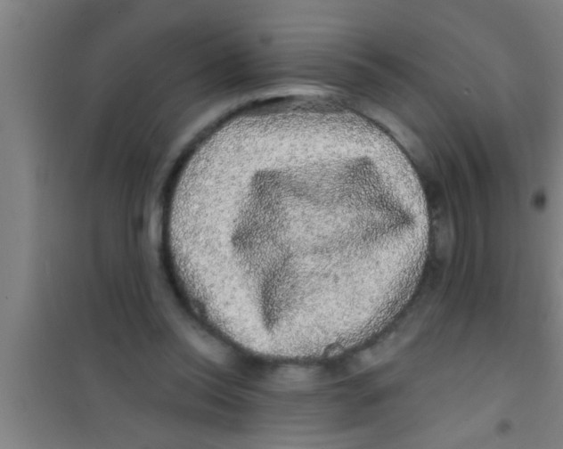 X0000100390350200807031955