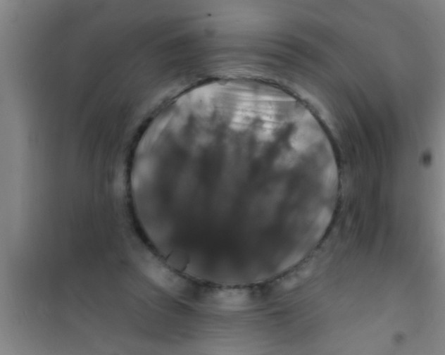 X0000100390353200807031955